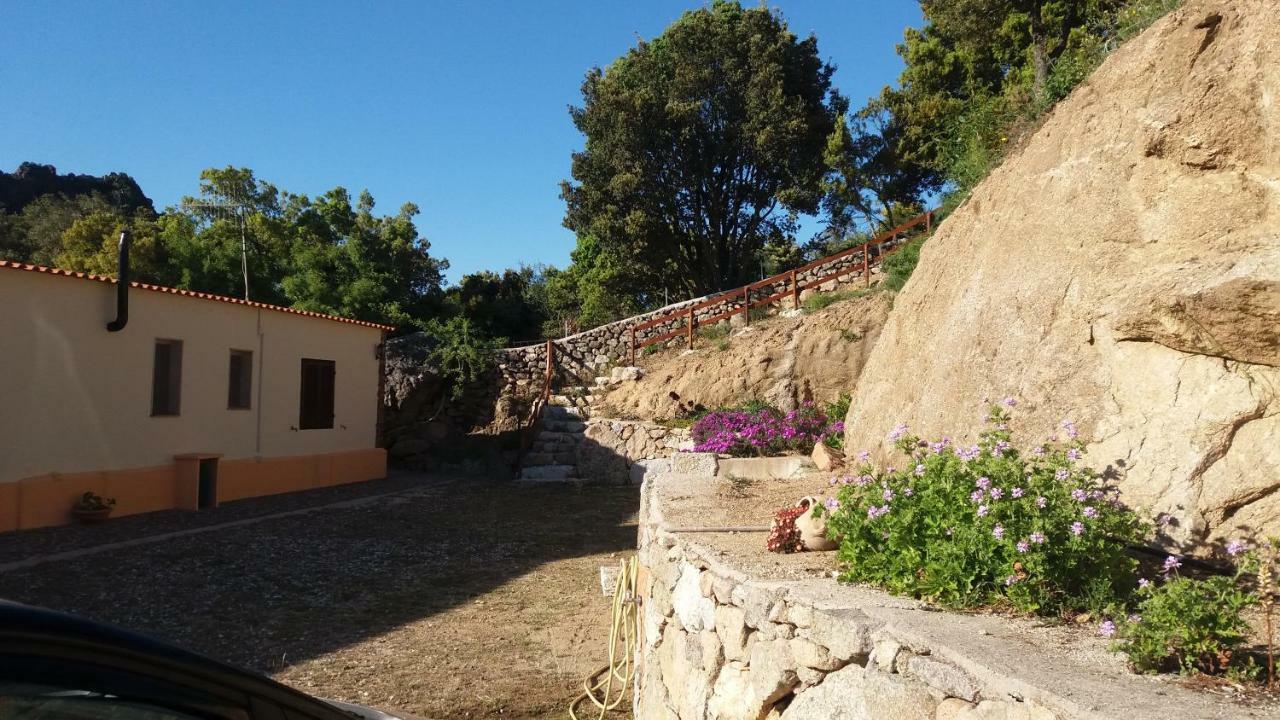 Casa Lucia Campagna Relax Guest House Dorgali Ngoại thất bức ảnh