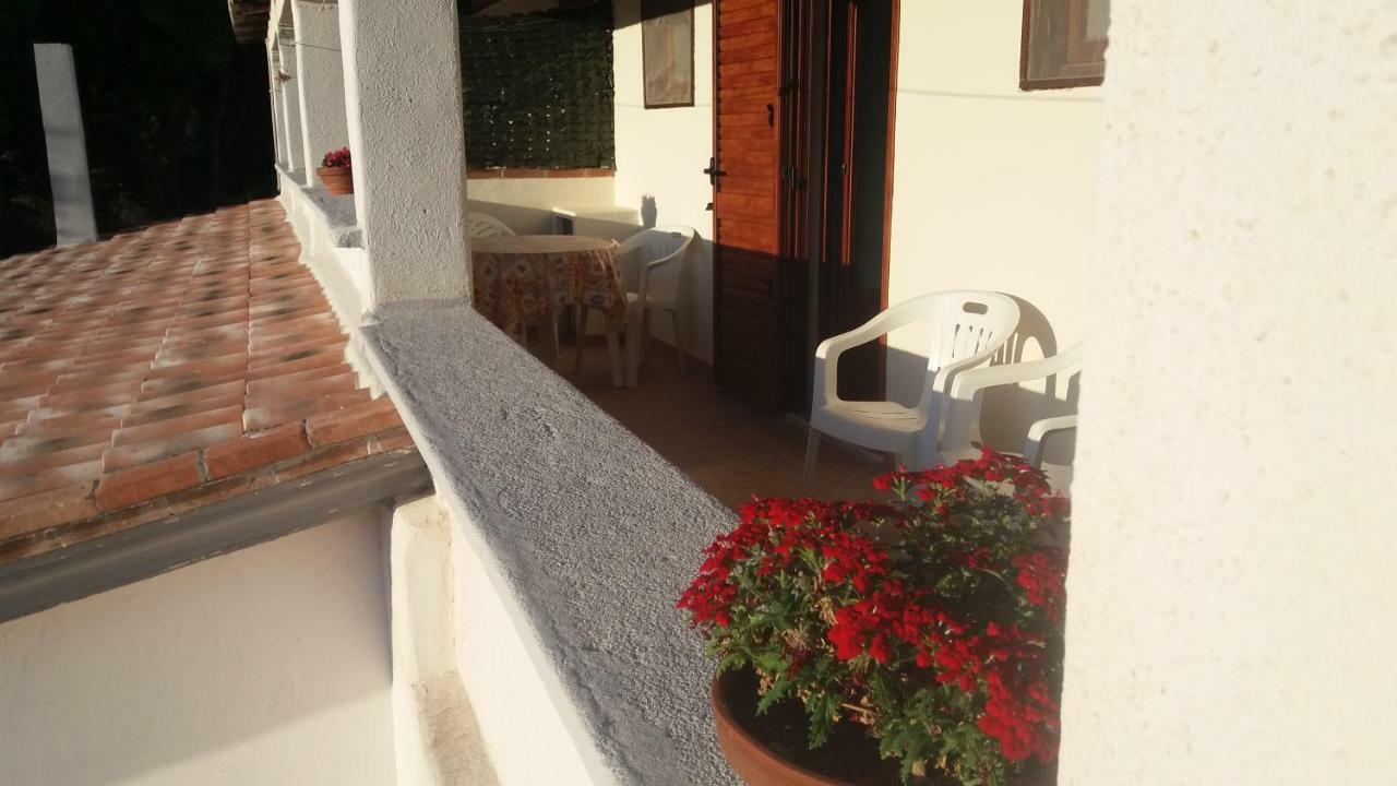 Casa Lucia Campagna Relax Guest House Dorgali Ngoại thất bức ảnh