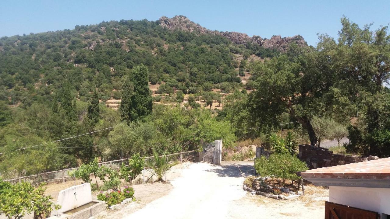 Casa Lucia Campagna Relax Guest House Dorgali Ngoại thất bức ảnh